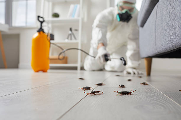 Commercial Kitchen Cockroach Control in East Washington